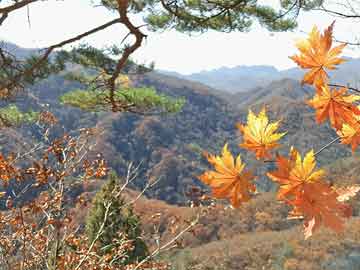 最新熹光曜日